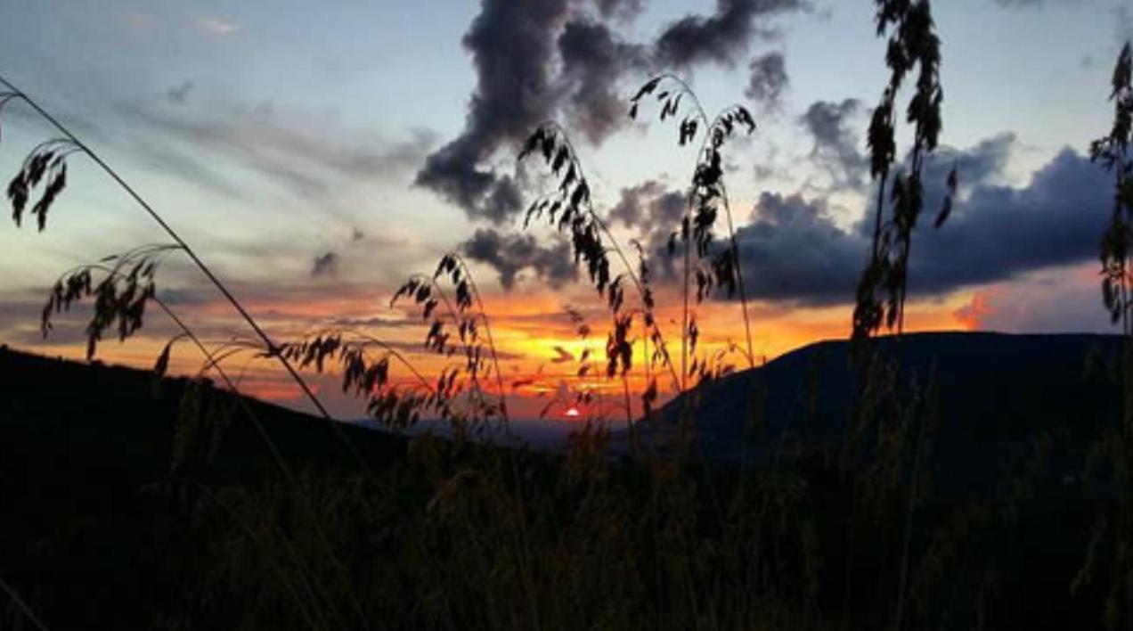 In Sicilia Da Ciro Bed and Breakfast Vita Buitenkant foto