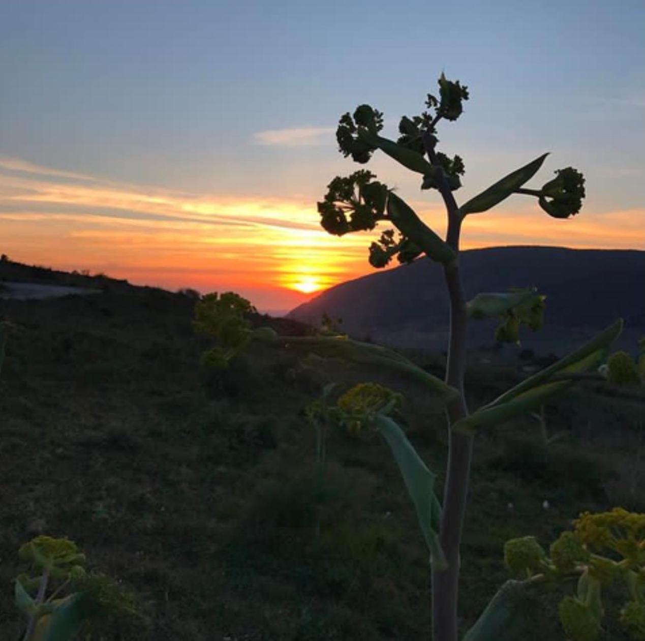 In Sicilia Da Ciro Bed and Breakfast Vita Buitenkant foto
